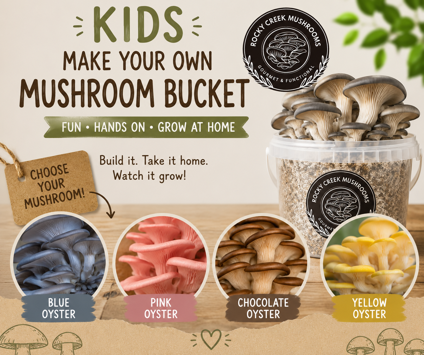 Kids Mushroom Bucket Workshop - Kings Beach, Sunshine Coast, Saturday 25th July