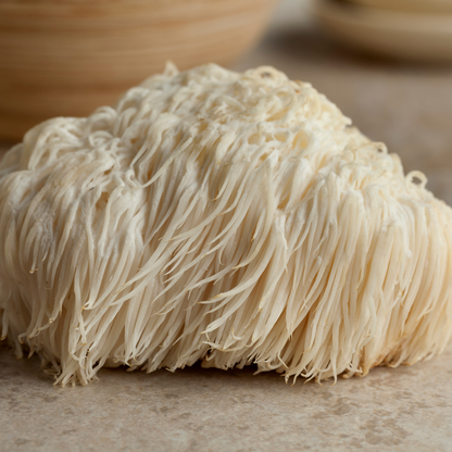 Lions mane mushroom with luxurious long tendrils